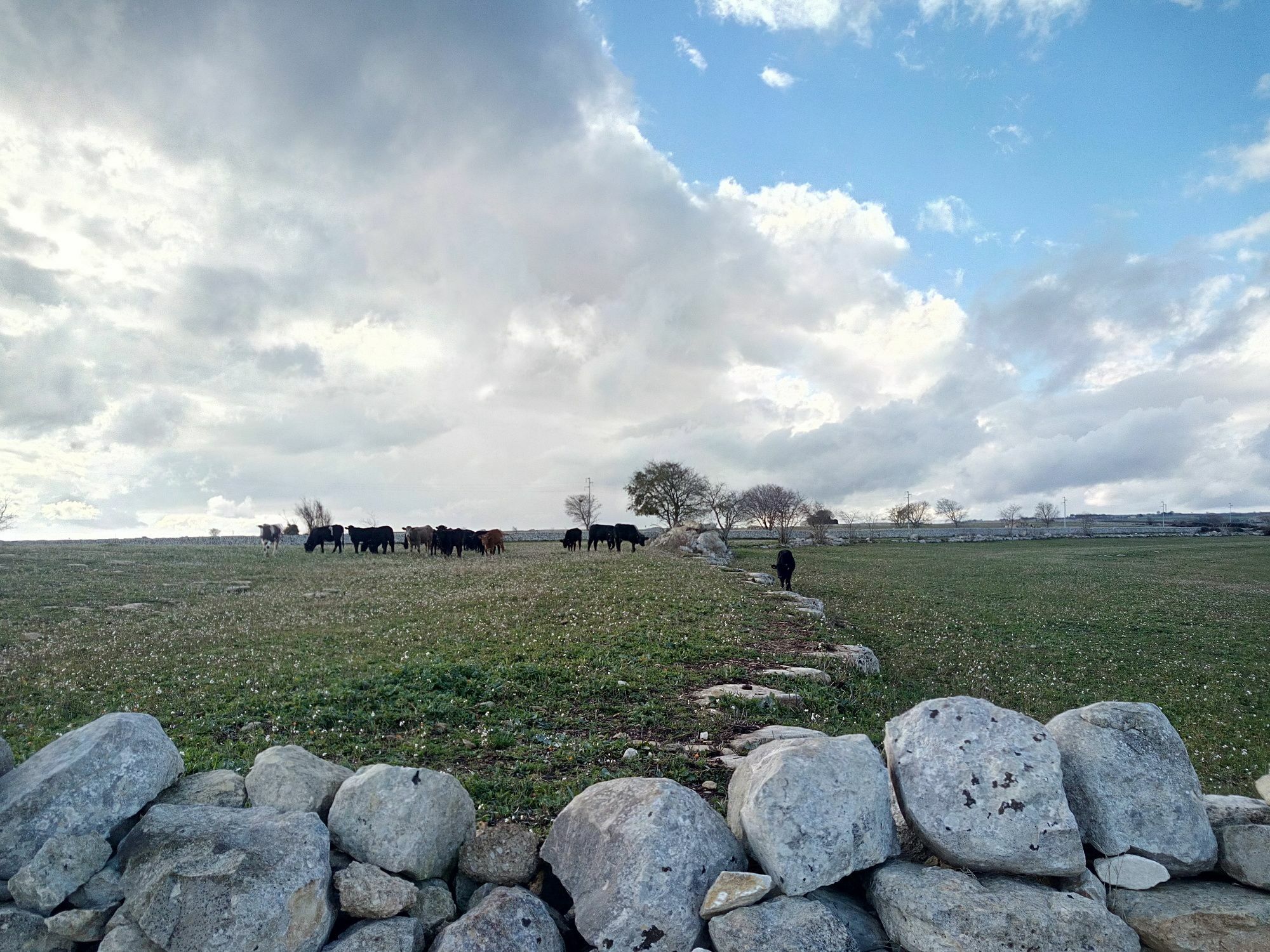 Caposud - Appartamento Sottovento Marina di Ragusa Exteriér fotografie
